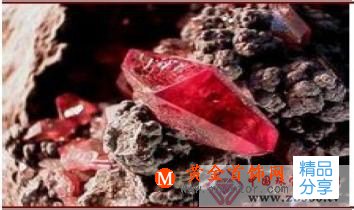 
	金紅石是什么
