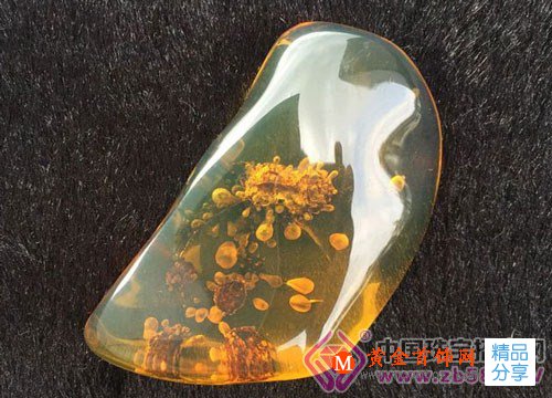 
	漲姿勢：植物琥珀
