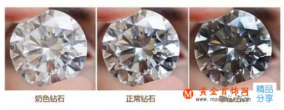 
	奶咖鉆是什么？
