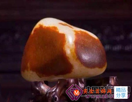 
	從四度一色透析和田籽玉的魅力
