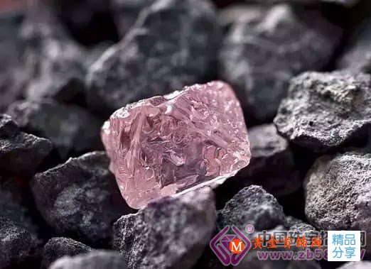 
	為何小小粉鉆價值天價？？
