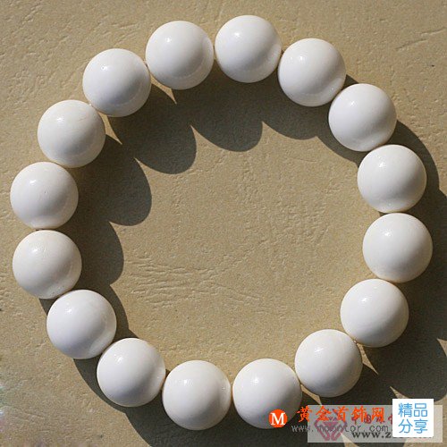 
	白硨磲是什么
