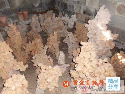 
	龍骨石是什么
