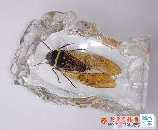
	琥珀的功效與作用
