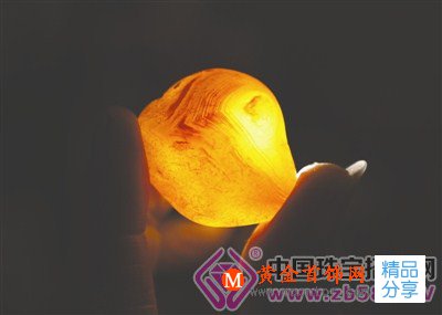 
	69歲大爺醉心奇石 20多塊猴石迎猴年
