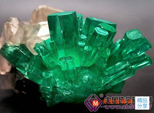 
	浸油的祖母綠能不能買？
