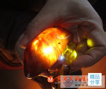 
	如何辨別琥珀真假
