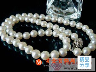 
	什么珍珠最好
