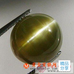 
	貓眼石將會在將來大放異彩
