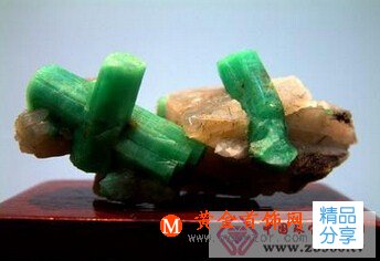 
	中國祖母綠指的是什么
