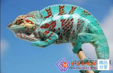 
	鉆石中的“變色龍”
