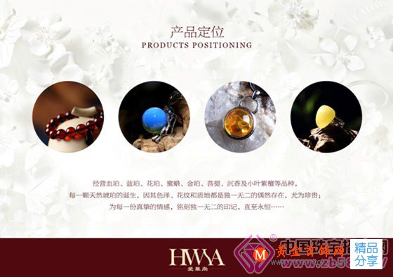 
	【HWSA愛華尚】琥珀的形成與功效
