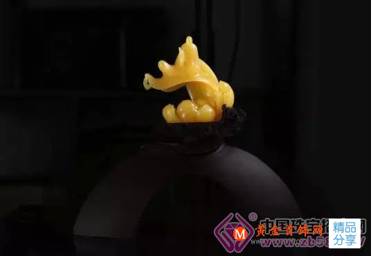 
	珠寶投資新寵 琥珀收藏成熱門
