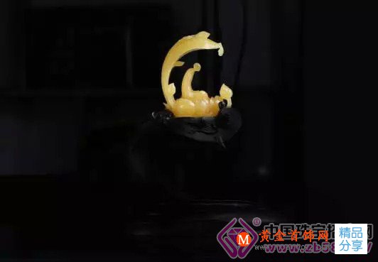 
	珠寶投資新寵 琥珀收藏成熱門
