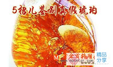 
	琥珀的鑒別
