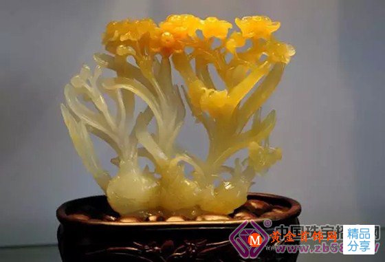 
	撿到寶啦！金絲玉到底是哪般神物？
