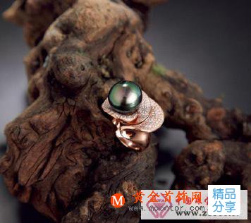 
	珍稀神秘的大溪地黑珍珠
