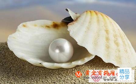
	海水珍珠與淡水珍珠區別
