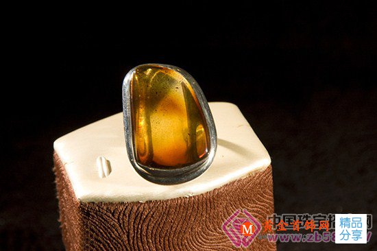 
	盤點最具“市場潛力”的五大琥珀
