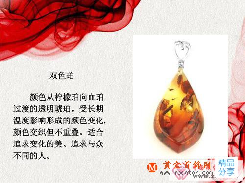 
	琥珀的概述_分類

