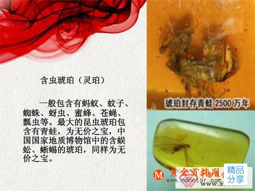 
	琥珀的概述_分類
