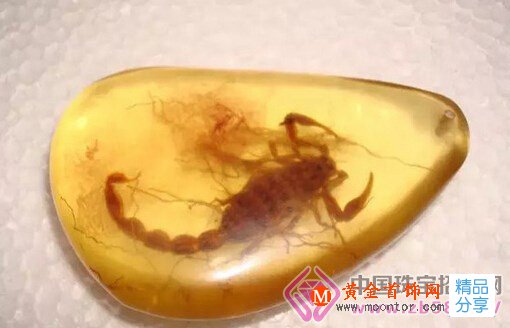 
	你知道如何鑒別真假蟲珀嗎？
