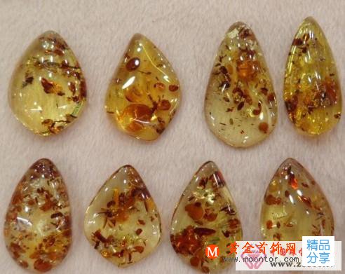 
	琥珀的分類
