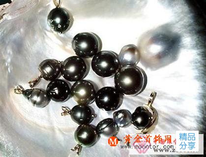 
	黑珍珠如何保養
