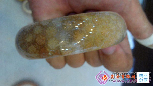 
	不同產地的珊瑚玉手鐲是怎樣的？
