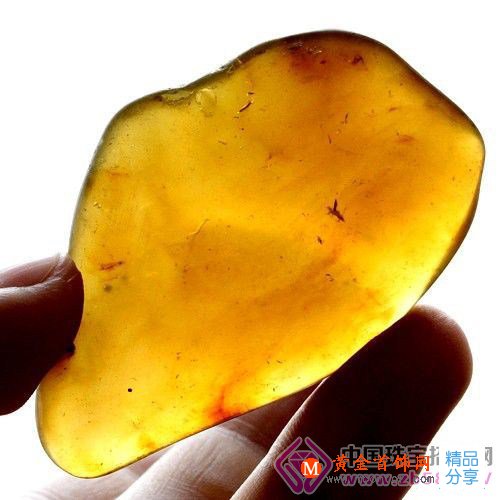 
	琥珀的市場到底有多大
