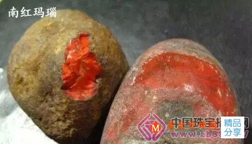 
	南紅不「難紅」，養富必紅火
