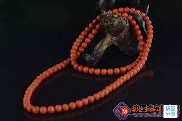 
	南紅不「難紅」，養富必紅火
