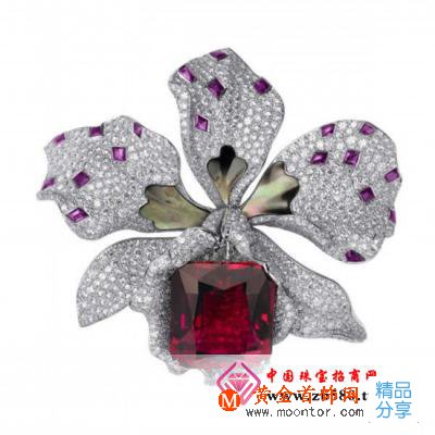 
	寶石專家:分享幾招紅寶石的收藏要點
