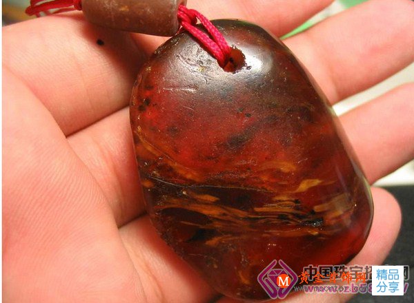 
	來自上古洪荒時代的精靈——琥珀和蜜蠟
