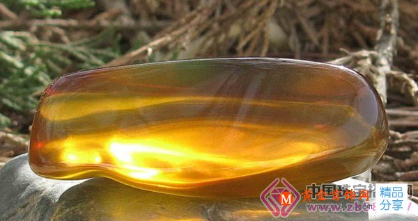 
	來自上古洪荒時代的精靈——琥珀和蜜蠟
