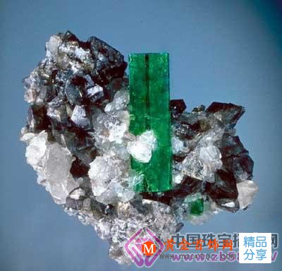 
	為什么范冰冰從來不嫌棄祖母綠的瑕疵
