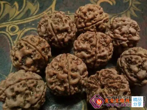 
	大金剛菩提子手串該怎么選

