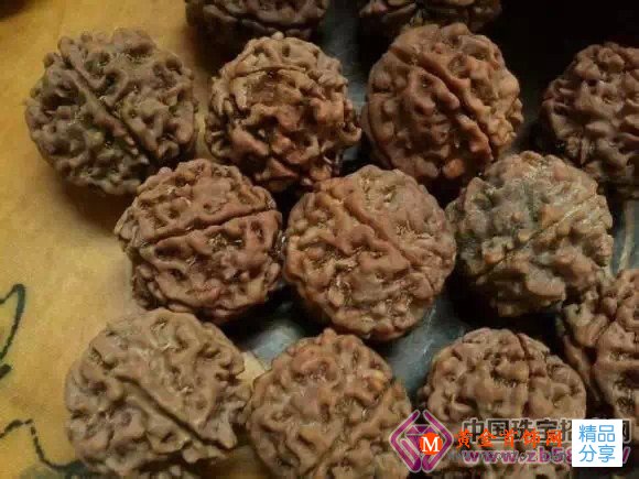 
	大金剛菩提子手串該怎么選
