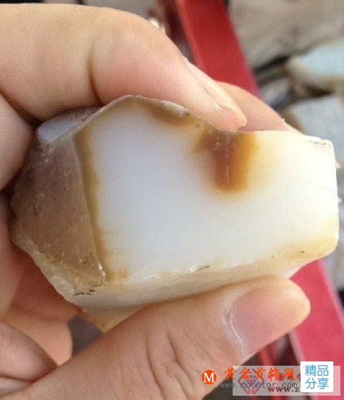 
	和田美玉在且末，你知道嗎？

