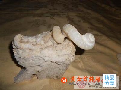 
	螺化玉是什么
