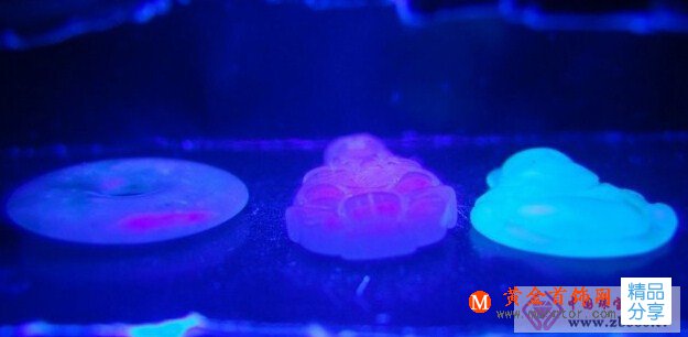 
	翡翠陷阱多，別掉「B貨」坑

