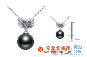 
	黑珍珠怎么保養
