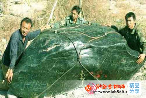 
	世界各地碧玉品種之四大當家花旦
