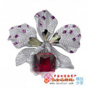 
	寶石專家:分享幾招紅寶石的收藏要點
