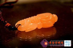 
	新玉種究竟什么來頭
