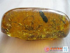 進口琥珀原石:少且貴