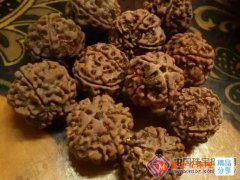 
	大金剛菩提子手串該怎么選
