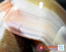 
	了解瑪瑙的形成
