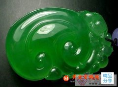 
	鑒定翡翠與獨山玉

