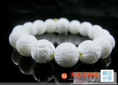 
	硨磲的基本知識
